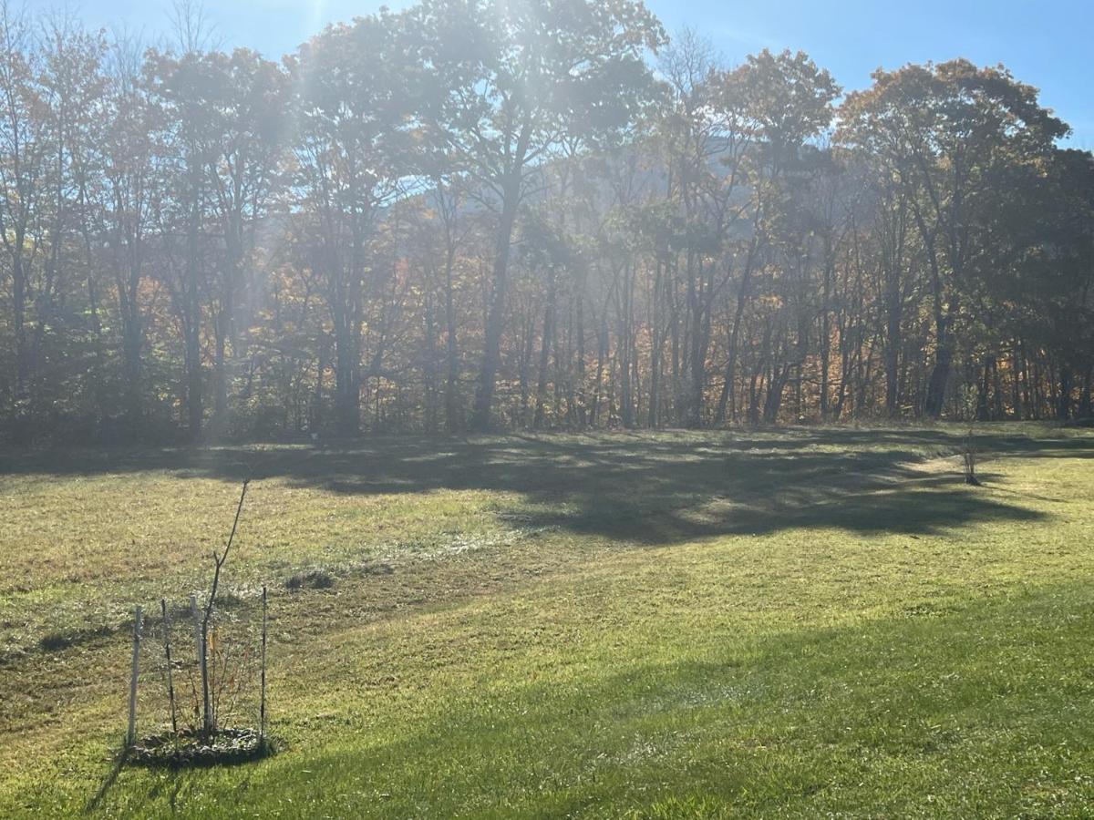 Smiths In-Law Suite! Pet Friendly, Hot Tub! Valley Head Exterior foto